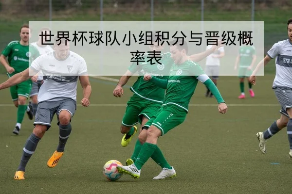 世界杯球队小组积分与晋级概率表